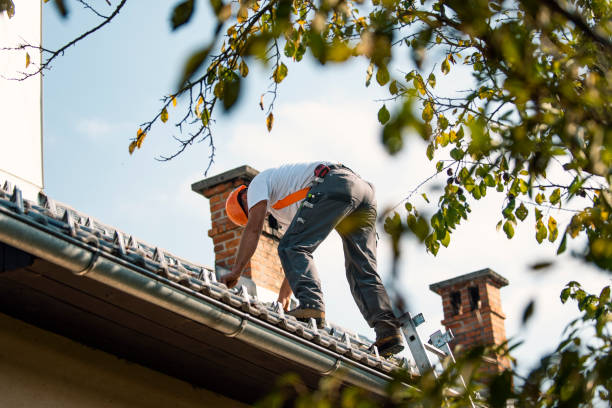 Best Gutter Installation and Roofing  in Westernport, MD