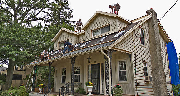 Best Shingle Roofing Installation  in Westernport, MD