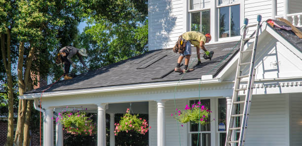 Best Gutter Installation and Roofing  in Westernport, MD